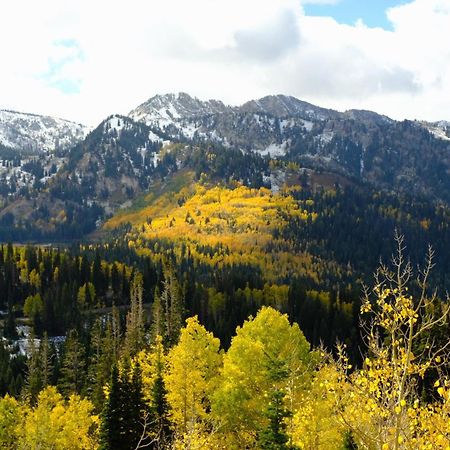 Cottonwood Heights - Lower Level Of Mountain Home! Exteriér fotografie